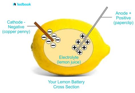 How to Make a Lemon Battery?: Lemon Battery Experiment, Uses