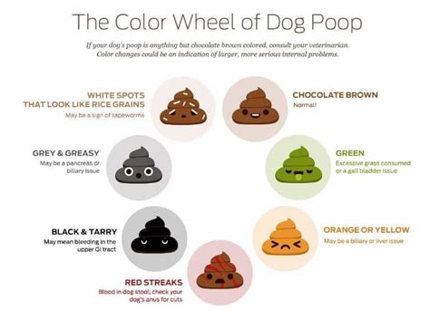 stool color chart what different poop colors mean 25 doctors - what ...