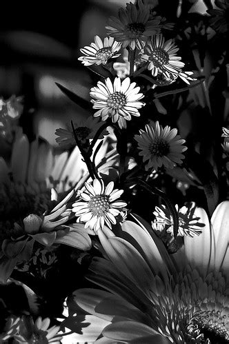 Dapper Dappling | A second shot of the bouquet we received a… | Flickr