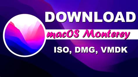 Download macOS Monterey ISO, DMG, and VMDK [Latest] - TechRechard