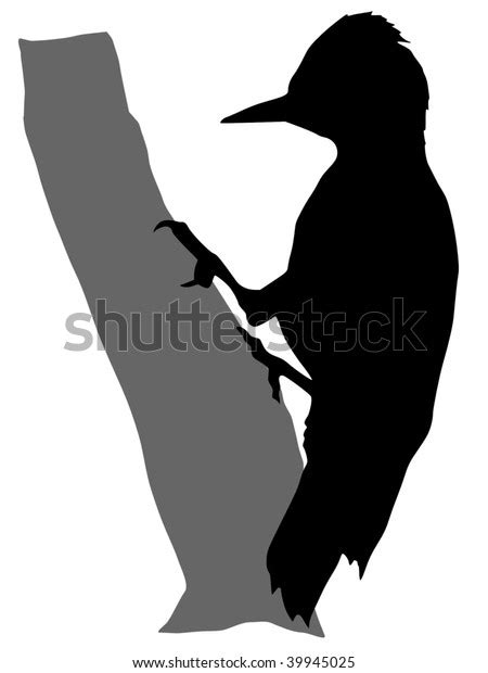 Silhouette Woodpecker Stock Vector (Royalty Free) 39945025 | Shutterstock