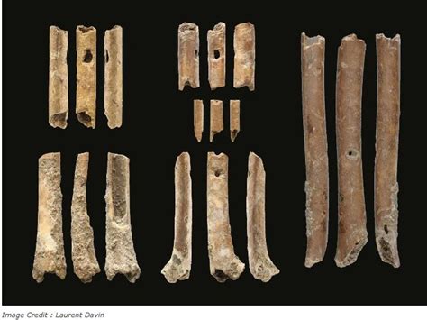 Hunter Gatherers Used Bone Flutes To Imitate Raptors (Birds of Prey ...