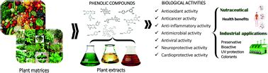 Phenolic compounds: current industrial applications, limitations and future challenges - Food ...