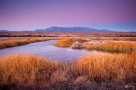 San Jacinto Wildlife Area Photo | Richard Wong Photography