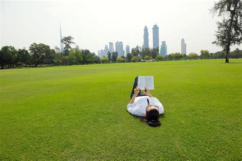 Young woman reading a book in the park 12656114 Stock Photo at Vecteezy