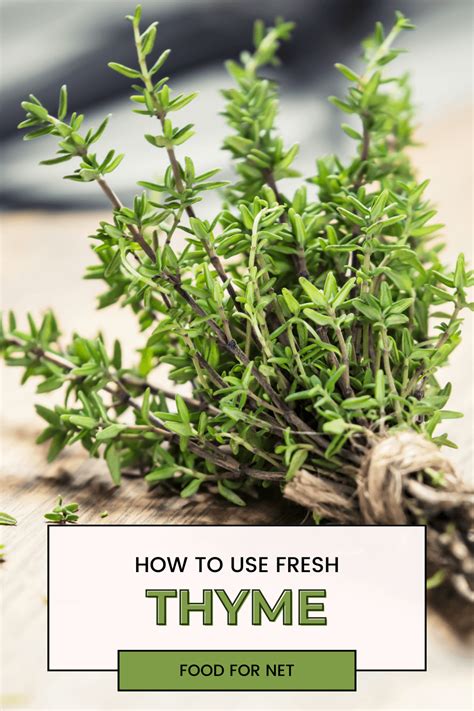 How To Use Fresh Thyme | Food For Net