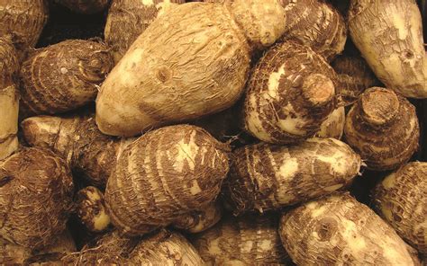 Cocoyam - Bekilo Farms