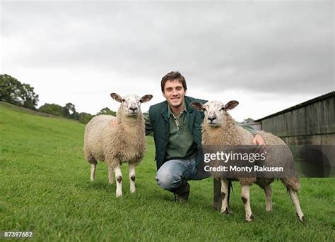 11,103 Man With Sheep Stock Photos, High-Res Pictures, and Images ...