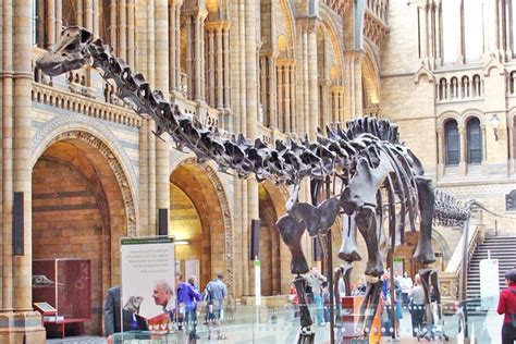 2023 Kid-Friendly Natural History Museum & Dinosaurs Private Guided Tour in London