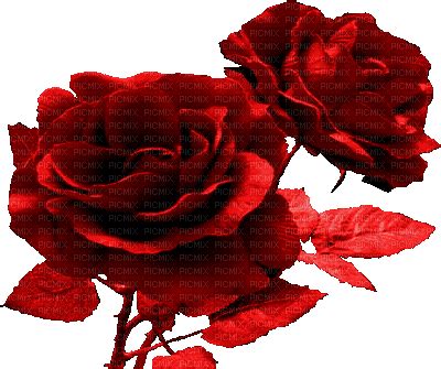 fle fleur rose rouge deco glitter gif image, stefstamp , fleur Blume flower flor fiori flores ...