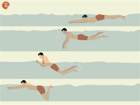 4 Simple Swimming Strokes To Try In Your Pool | Aqua Leisure