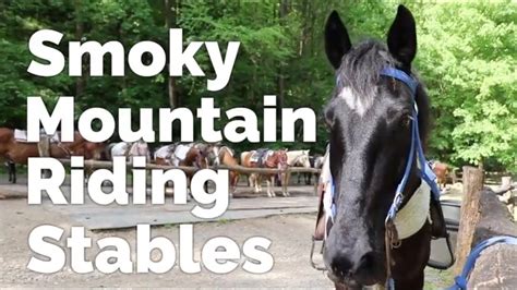 Horseback Riding in Gatlinburg - Smoky Mountain Riding Stables - YouTube