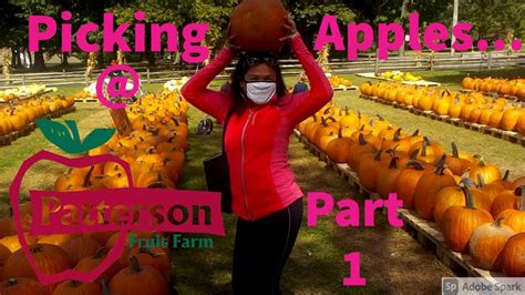 Picking Apples @ Patterson Fruit Farms... Part 1 - YouTube