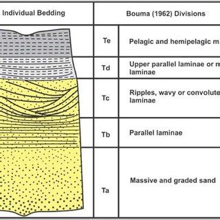 Ideal Bouma Sequence showing T a to T e division, the sequence ...