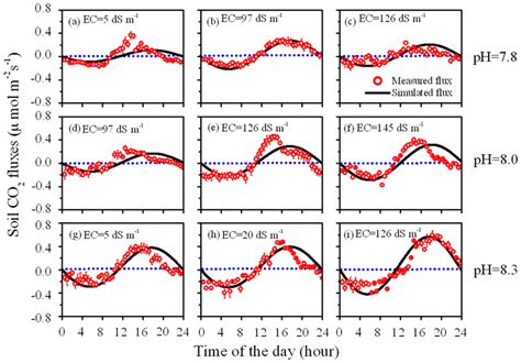 Diurnal patterns for simulated (solid lines) and directly measured... | Download Scientific Diagram