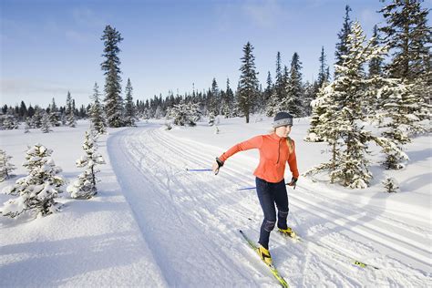 How to Turn When Cross Country Skiing