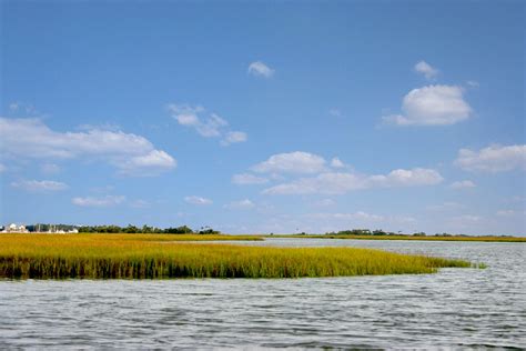 Kiawah Island Fishing | Charleston Charter Fishing