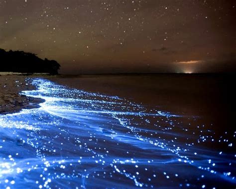 Sea of Stars on Vaadhoo Island [1600x1200] : wallpaper