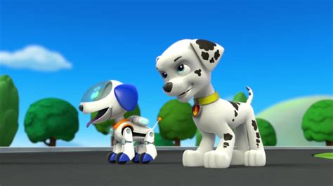 Robodog - Paw Patrol photo (40125956) - fanpop