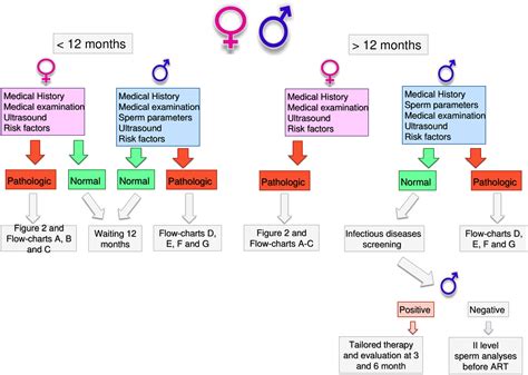 Male Infertility Chart