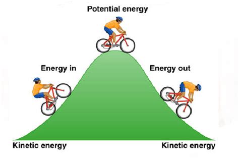 Potential and Kinetic Energy Review | 439 plays | Quizizz