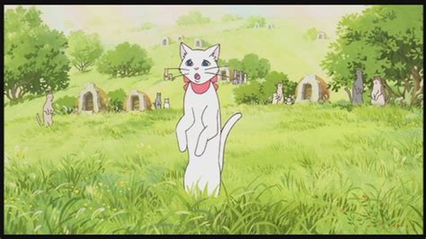 The Cat Returns - Studio Ghibli Image (25648661) - Fanpop