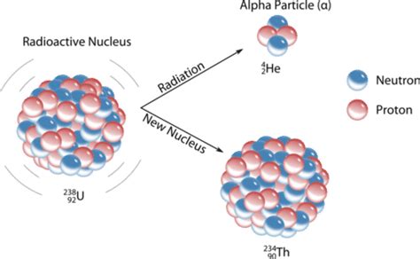 11.4: Nuclear Decay - Chemistry LibreTexts