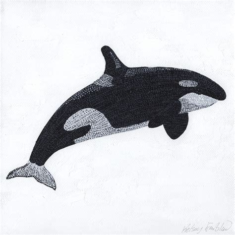 Orca Whale Pencil Drawing