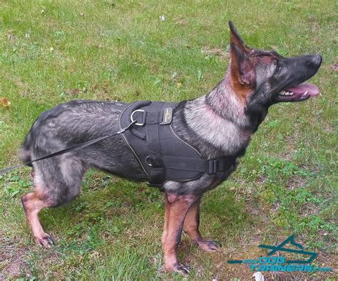 Buy German Shepherd Strong Dog Harness with Control Handle - H6