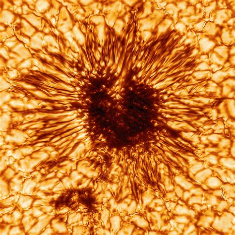 Bad Astronomy | A sunspot seen in super high-res | SYFY WIRE