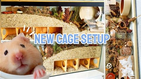 How To Draw A Hamster In A Cage