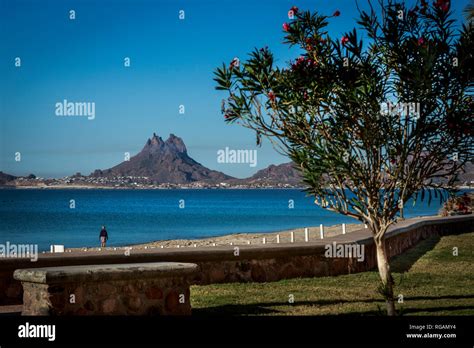 Mount Tetakawi as a backdrop for a morning beach walker on the Bahia Peninsula.. Near San Carlos ...