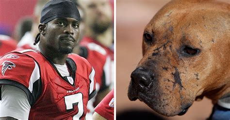 Over 1 Million People Demand Michael Vick's Removal from 2020 Pro Bowl ...