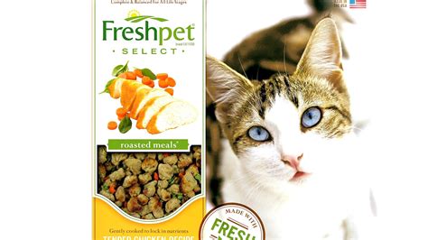 Low Iodine Cat Food Recipes - Recipe Choices