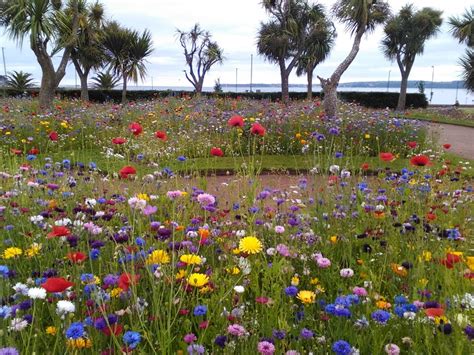 Torquay Gardens - Sandays Bed and BreakfastSandays Bed and Breakfast