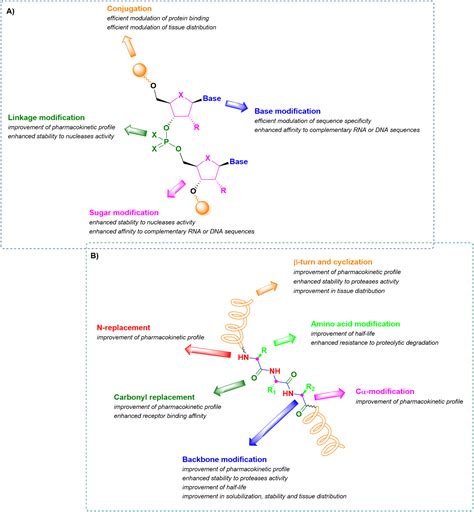 From green innovations in oligopeptide to oligonucleotide sustainable ...