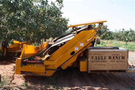 Pistachio Harvest - Heart Of The Desert Heart Of The Desert