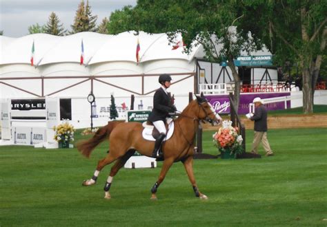 Spruce Meadows Horse Jumping! (took this picture myself) | Horses, Horse jumping, Horse pictures