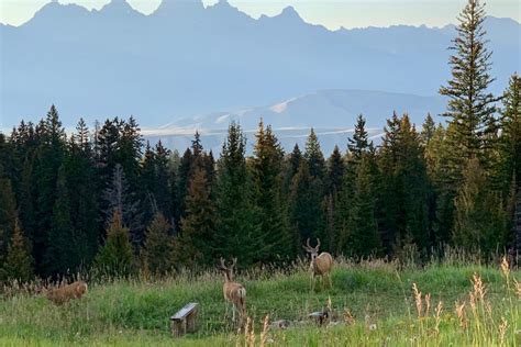 Free Camping Near Jackson Hole - Jackson Hole Traveler