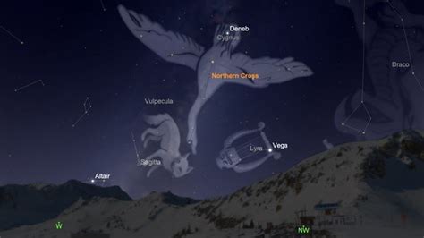 Cygnus constellation: Facts about the swan | Space