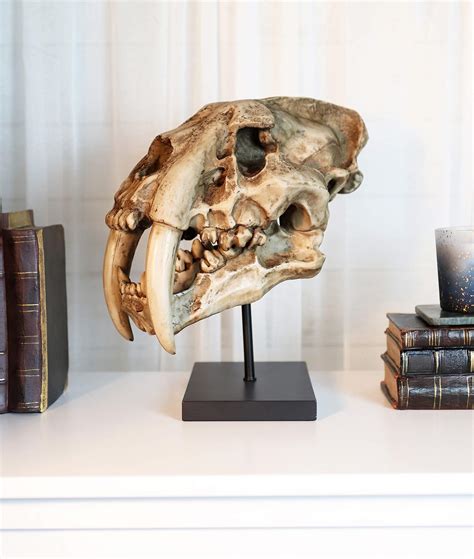 Buy Ebros Faux Taxidermy Replica Sabertooth Tiger Cat Fossil Skull Statue On Museum Gallery Pole ...