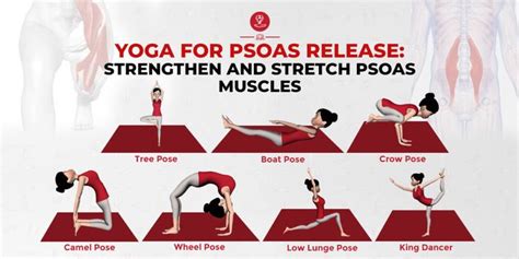 Yoga For Psoas Release: Strengthen and Stretch Psoas Muscles - | Psoas ...