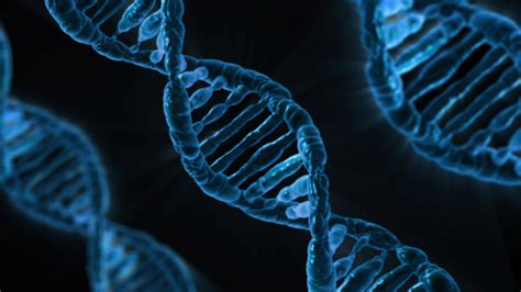 Structure Of DNA Free Stock Photo - Public Domain Pictures