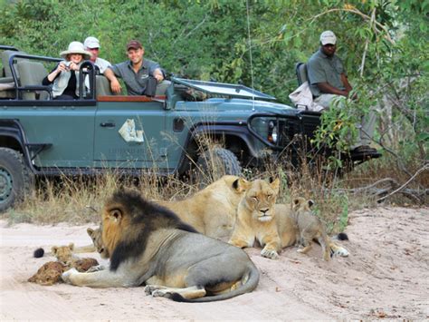 Leopard Hills | South Africa Safari Camps | iSafari.com