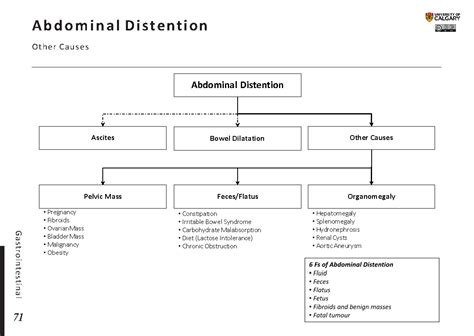 ABDOMINAL DISTENTION: Other Causes - Blackbook : Blackbook