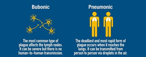 Yersinia Pestis - The Definitive Guide | Biology Dictionary