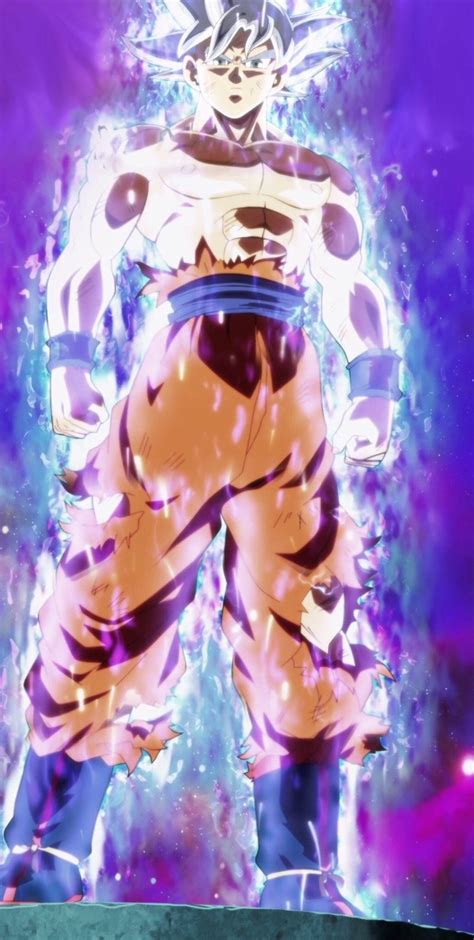 Perfected Ultra Instinct | Dragon Ball Wiki | Fandom