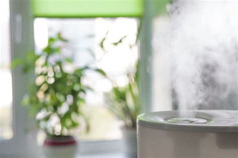 How to clean a humidifier: in five simple steps | Homes & Gardens