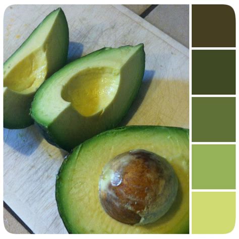 ️Avocado Green Paint Color Free Download| Goodimg.co