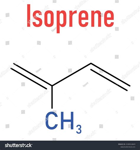 Isoprene Rubber Polyisoprene Building Block Monomer Stock Vector ...